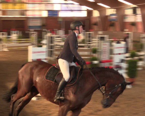 Reitturnier Hüllhorst 2018