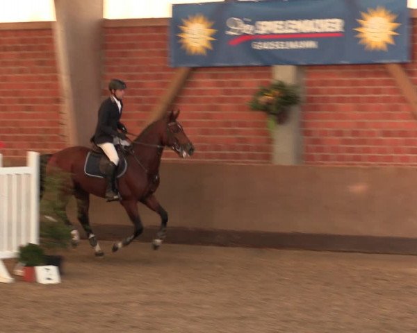 Reitturnier Hüllhorst 2018