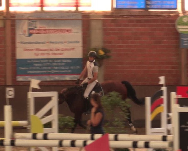 Reitturnier Hüllhorst 2018