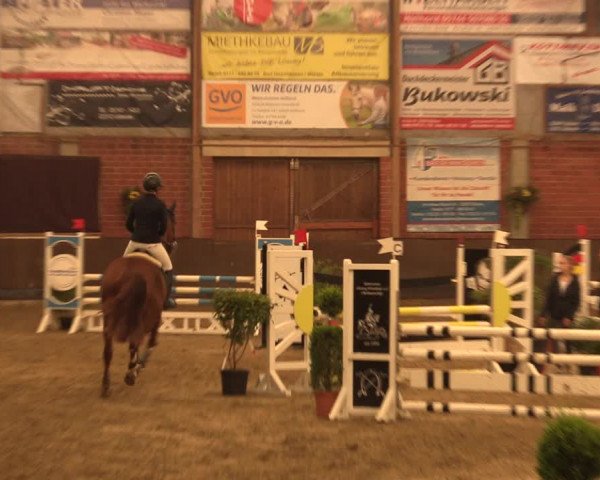 Reitturnier Hüllhorst 2018