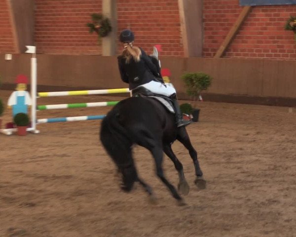 Reitturnier Hüllhorst 2018