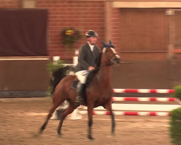 Reitturnier Hüllhorst 2018