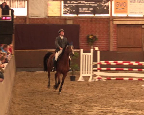 Reitturnier Hüllhorst 2018