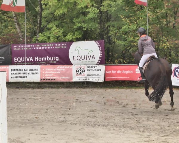 Reitturnier Neunkirchen-City 2018