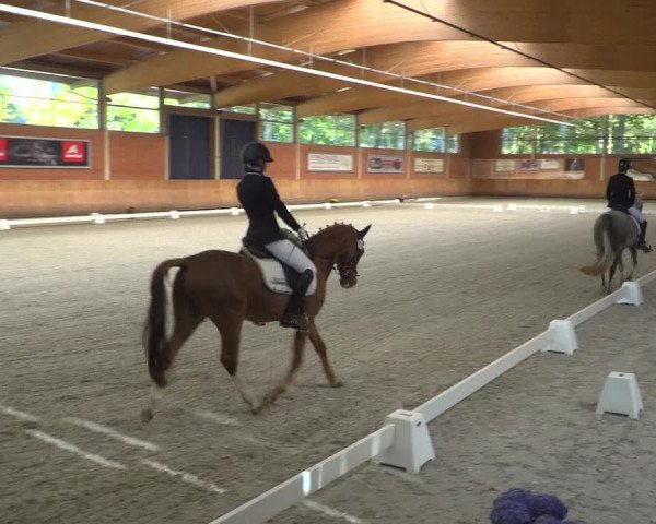 Reitturnier Mönchengladbach-Wickrath 2018