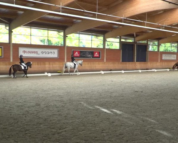 Reitturnier Mönchengladbach-Wickrath 2018