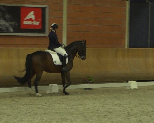 Reitturnier Mönchengladbach-Wickrath 2018