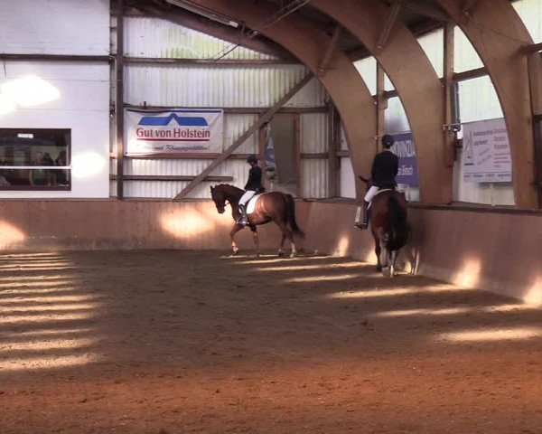 Reitturnier Kellinghusen 2018
