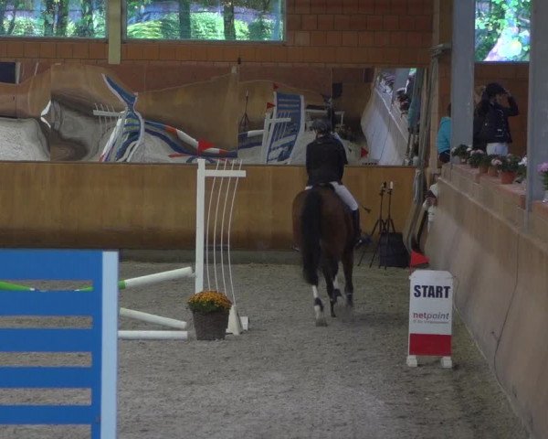 Reitturnier Mönchengladbach-Wickrath 2018
