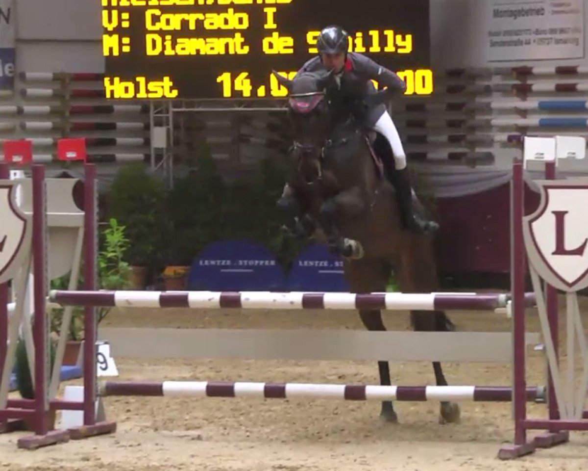 jumper Sb Fancy Diamond (Holsteiner, 2012, from Corrado I)