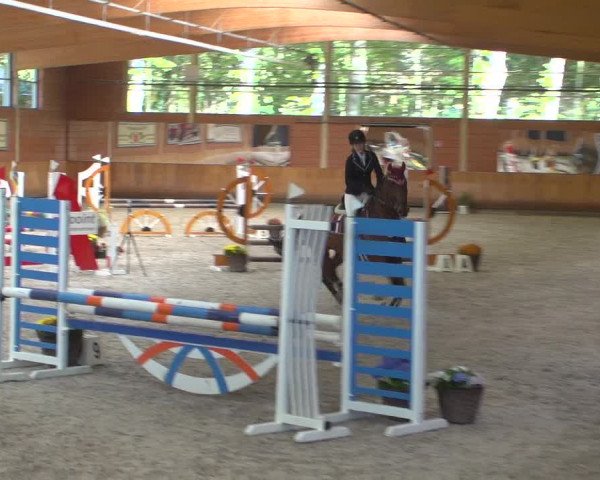 Reitturnier Mönchengladbach-Wickrath 2018