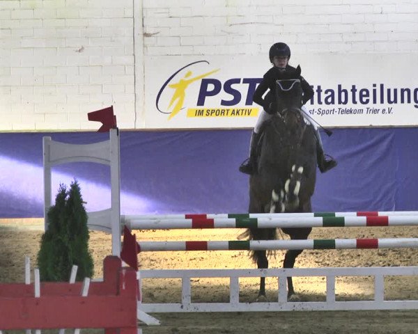 Reitturnier Trier - Hofgut Monaise / Halle 2018