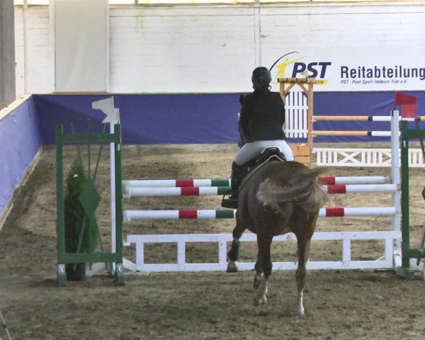 Reitturnier Trier - Hofgut Monaise / Halle 2018