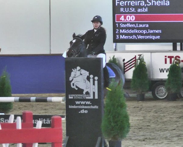 Reitturnier Trier - Hofgut Monaise / Halle 2018