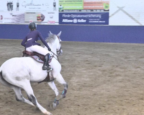 Reitturnier Trier - Hofgut Monaise / Halle 2018