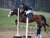 broodmare Kessy (German Riding Pony, 2002, from Kentucky)