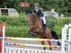 jumper Doly Douglas (Oldenburg show jumper, 2012, from Thorgal de Kezeg)