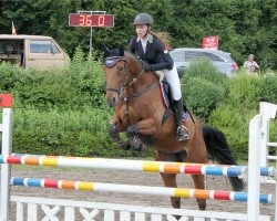 jumper Doly Douglas (Oldenburg show jumper, 2012, from Thorgal de Kezeg)