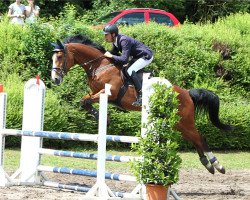 jumper Baloue's Girl (Mecklenburg, 2012, from Balou du Rouet)