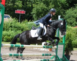 dressage horse Bamse 3 (Danish Pony, 1996)