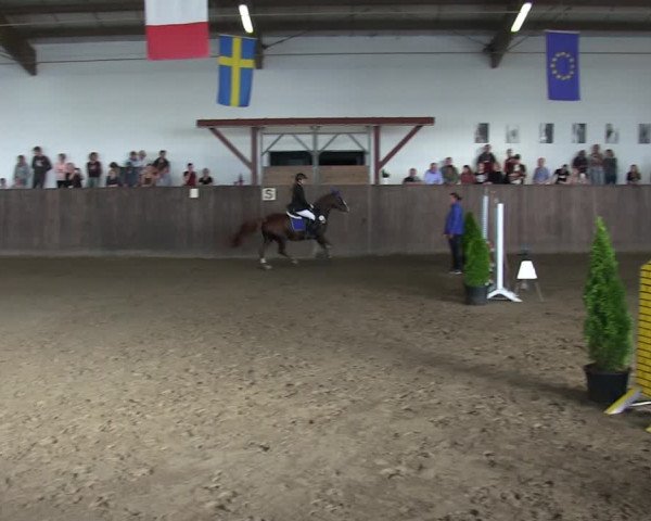 Reitturnier St. Peter Ording 2018