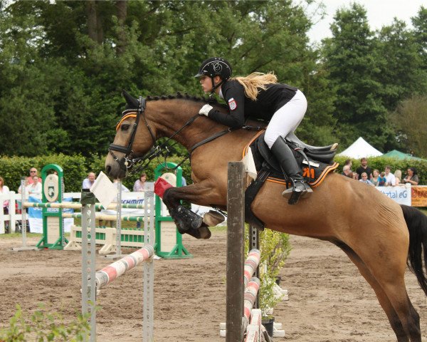 Springpferd MBF Avatar (Deutsches Reitpony, 2009, von Golden Atreju)