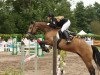 jumper MBF Avatar (German Riding Pony, 2009, from Golden Atreju)