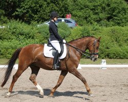 dressage horse Diamond's S (Hanoverian, 2008, from Diamond Hit)