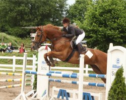 jumper Fancy Spring (KWPN (Royal Dutch Sporthorse), 2010, from Arthos R)