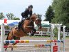 dressage horse Fabrisca (Hanoverian, 2007, from Fabriano)