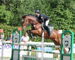 jumper Lewin 10 (Hanoverian, 2009, from Hh Linton)