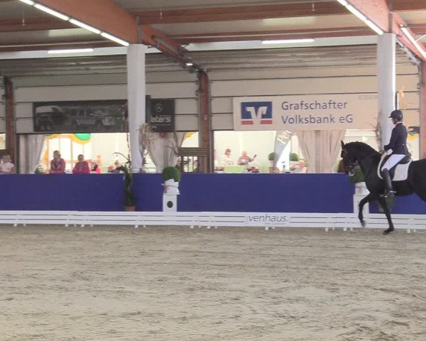 Reitturnier Isterberg 2018
