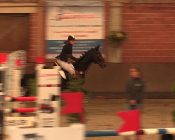 Reitturnier Hüllhorst 2018