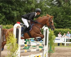 jumper Princess Peach 3 (German Riding Pony, 2007, from Folklore)