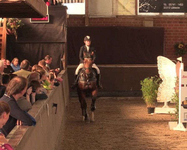 Reitturnier Hüllhorst 2018