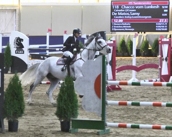 Reitturnier Trier - Hofgut Monaise / Halle 2018