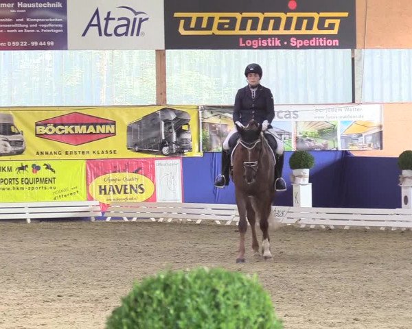 Reitturnier Isterberg 2018