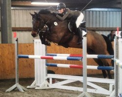 jumper Renzo 25 (Hanoverian, 2003, from Rabino)