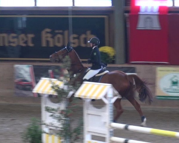 Reitturnier Köln-Leverkusen 2018