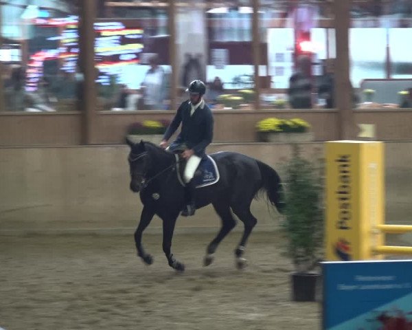 Reitturnier Köln-Leverkusen 2018
