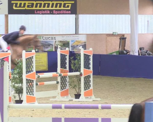 Reitturnier Isterberg 2018