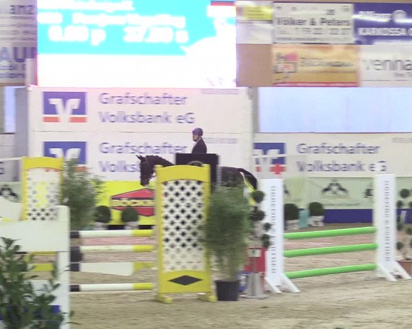 Reitturnier Isterberg 2018