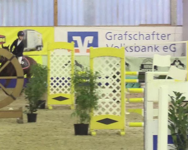 Reitturnier Isterberg 2018