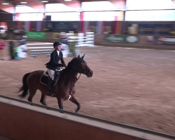 Reitturnier Köln-Leverkusen 2018