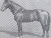 horse Frisko (Holsteiner, 1936, from First 2451)