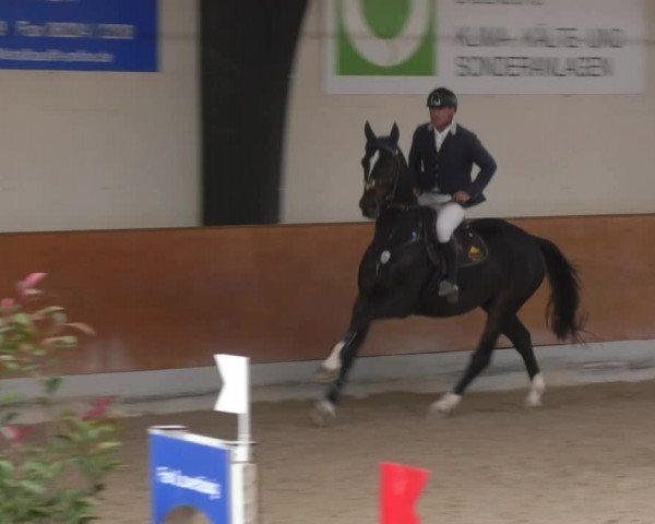 Reitturnier Viernheim 2018
