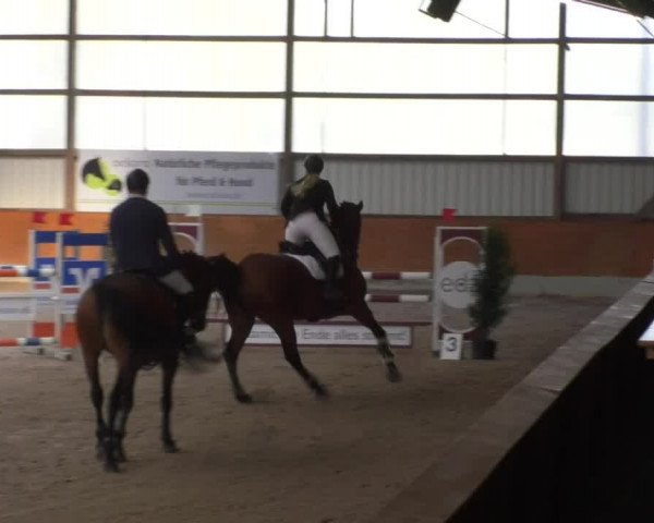 Reitturnier Viernheim 2018