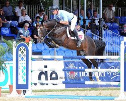 stallion Cafe's Champus (Oldenburg show jumper, 2006, from Cafe au lait 2)