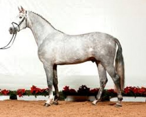stallion Cathanos (Westphalian, 2008, from Carthago)