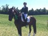 dressage horse Danny Belucci 2 (Hanoverian, 2011, from Don Frederico)